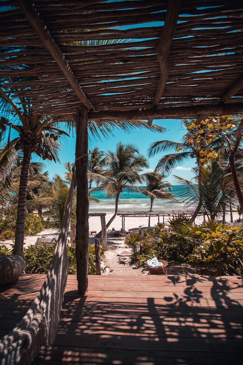 Crystal-clear water and white sand beach with palm trees